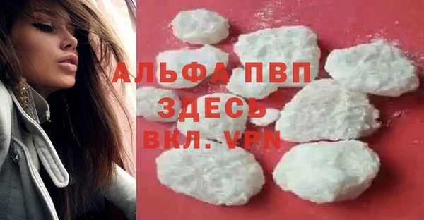 индика Зеленокумск