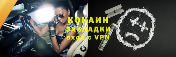 индика Зеленокумск