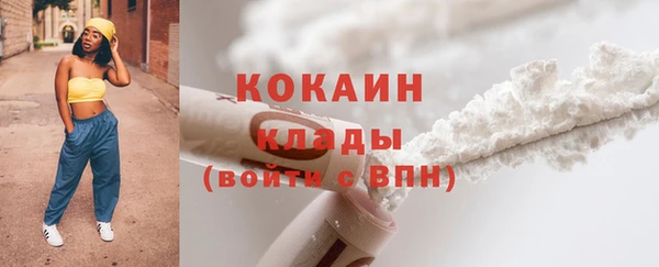индика Зеленокумск