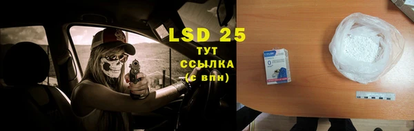 индика Зеленокумск