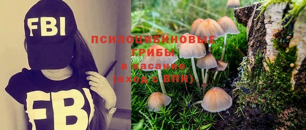 индика Зерноград