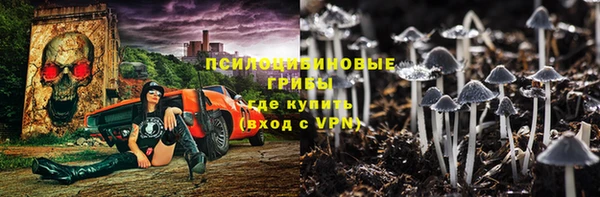 индика Зеленокумск