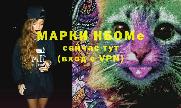индика Зерноград