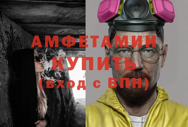 индика Зеленокумск