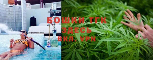 индика Зеленокумск