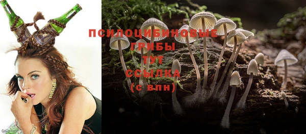 индика Зерноград