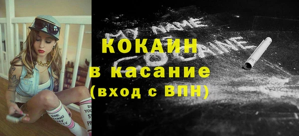 индика Зерноград