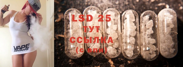 индика Зеленокумск